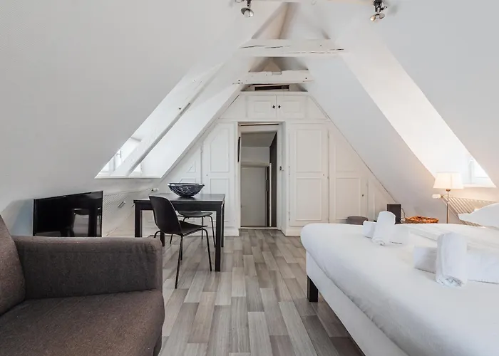 Apartament Le Cosy Stras - Hyper Centre Strasburg