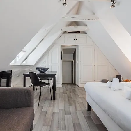 Daire Le Cosy Stras - Hyper Centre Strazburg